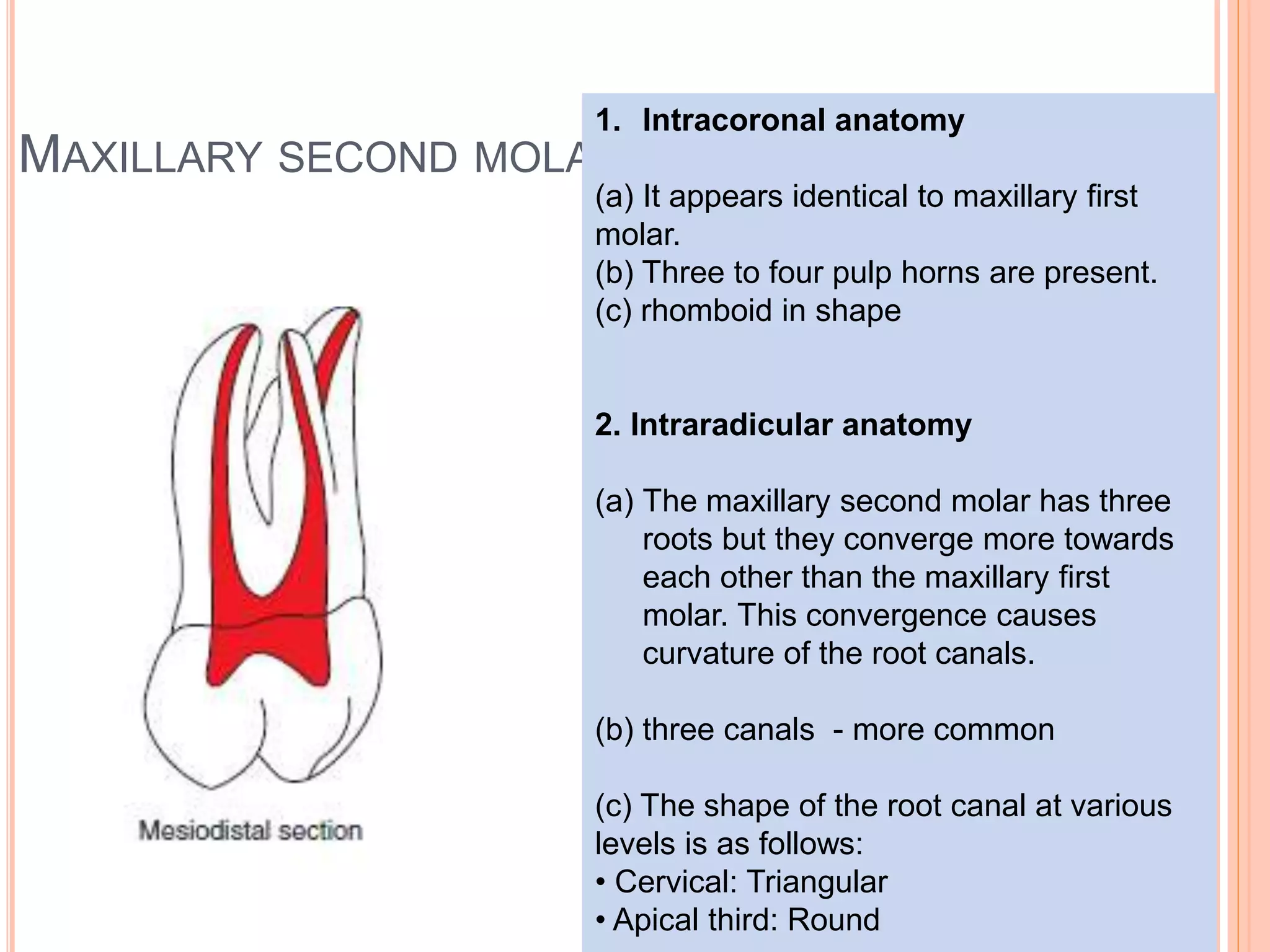 Pulp cavities | PPTX