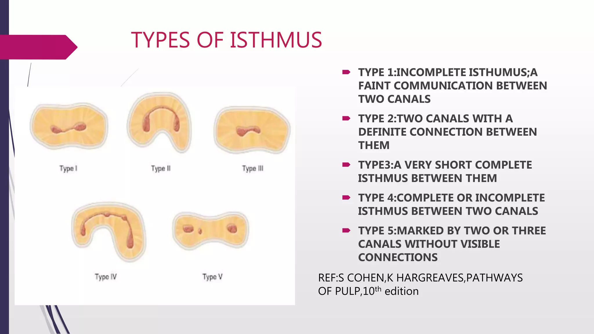 Pulp cavities of teeth | PPTX | Dental Health | Diseases and Conditions