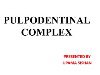 PULPODENTINAL
COMPLEX
PRESENTED BY
UPAMA SISHAN
 