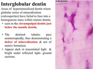 Pulp dentin complex | PPTX