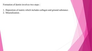 Formation of dentin involves two steps :
1. Deposition of matrix which includes collagen and ground substance .
2. Mineralization .
 