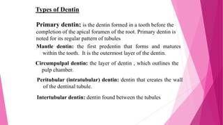 Types of Dentin
Primary dentin: is the dentin formed in a tooth before the
completion of the apical foramen of the root. Primary dentin is
noted for its regular pattern of tubules
Mantle dentin: the first predentin that forms and matures
within the tooth. It is the outermost layer of the dentin.
Circumpulpal dentin: the layer of dentin , which outlines the
pulp chamber.
Peritubular (intratubular) dentin: dentin that creates the wall
of the dentinal tubule.
Intertubular dentin: dentin found between the tubules.
 
