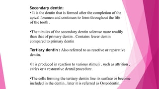 Secondary dentin:
• It is the dentin that is formed after the completion of the
apical foramen and continues to form throughout the life
of the tooth .
•The tubules of the secondary dentin sclerose more readily
than that of primary dentin . Contains fewer dentin
compared to primary dentin
Tertiary dentin : Also referred to as reactive or reparative
dentin.
•It is produced in reaction to various stimuli , such as attrition ,
caries or a restorative dental procedure.
•The cells forming the tertiary dentin line its surface or become
included in the dentin , later it is referred as Osteodentin.
 