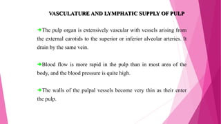 The pulp organ is extensively vascular with vessels arising from
the external carotids to the superior or inferior alveolar arteries. It
drain by the same vein.
Blood flow is more rapid in the pulp than in most area of the
body, and the blood pressure is quite high.
The walls of the pulpal vessels become very thin as their enter
the pulp.
VASCULATURE AND LYMPHATIC SUPPLY OF PULP
 