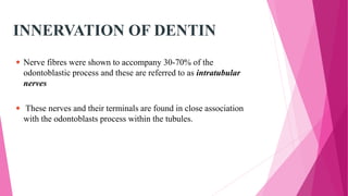 INNERVATION OF DENTIN
 Nerve fibres were shown to accompany 30-70% of the
odontoblastic process and these are referred to as intratubular
nerves
 These nerves and their terminals are found in close association
with the odontoblasts process within the tubules.
 