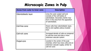 Zones-from outer to inner zone Description
Odontoblastic layer Lines the outer pulpal wall and
consists of the cell bodies of
odontoblast. Secondary dentin may
form in this area from the apposition
of odontoblast.
Cell-free zone Fewer cells than odontoblastic layer.
Nerve and capillary plexus located
here
Cell-rich zone Increased density of cells as compared
to cell-free zone and also a more
extensive vascular system
Pulpal-core Located in the center of the pulp
chamber, which has many cells and an
extensice vascular supply, similar to
cell-rich zone
Microscopic Zones in Pulp
 