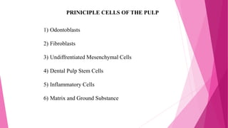 PRINICIPLE CELLS OF THE PULP
1) Odontoblasts
2) Fibroblasts
3) Undiffrentiated Mesenchymal Cells
4) Dental Pulp Stem Cells
5) Inflammatory Cells
6) Matrix and Ground Substance
 
