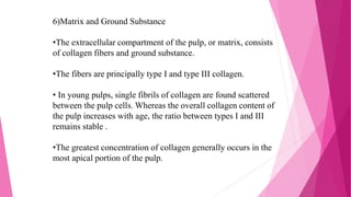 6)Matrix and Ground Substance
•The extracellular compartment of the pulp, or matrix, consists
of collagen fibers and ground substance.
•The fibers are principally type I and type III collagen.
• In young pulps, single fibrils of collagen are found scattered
between the pulp cells. Whereas the overall collagen content of
the pulp increases with age, the ratio between types I and III
remains stable .
•The greatest concentration of collagen generally occurs in the
most apical portion of the pulp.
 