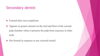 Secondary dentin
 Formed after root completion
 Appears in greater amount on the roof and floor of the coronal
pulp chamber where it protects the pulp from exposure in older
teeth
 Not formed in response to any external stimuli
 