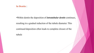 In Dentin :
•Within dentin the deposition of intratubular dentin continues,
resulting in a gradual reduction of the tubule diameter. This
continued deposition often leads to complete closure of the
tubule
 