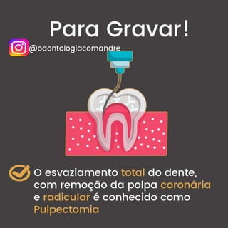 Pulpectomia Conceito - Endodontia Resumo Concurso Odontologia.pdf