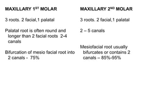 MAXILLARY 1ST MOLAR
3 roots. 2 facial,1 palatal
Palatal root is often round and
longer than 2 facial roots 2-4
canals
Bifurcation of mesio facial root into
2 canals - 75%
MAXILLARY 2ND MOLAR
3 roots. 2 facial,1 palatal
2 – 5 canals
Mesiofacial root usually
bifurcates or contains 2
canals – 85%-95%
 