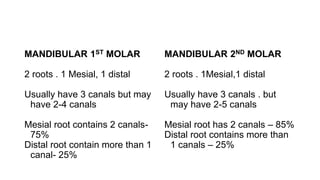 MANDIBULAR 1ST MOLAR
2 roots . 1 Mesial, 1 distal
Usually have 3 canals but may
have 2-4 canals
Mesial root contains 2 canals-
75%
Distal root contain more than 1
canal- 25%
MANDIBULAR 2ND MOLAR
2 roots . 1Mesial,1 distal
Usually have 3 canals . but
may have 2-5 canals
Mesial root has 2 canals – 85%
Distal root contains more than
1 canals – 25%
 