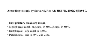 According to study by Sarkar S, Roa AP. JISPPD. 2002;20(3):94-7.
First primary maxillary molar-
• Mesiobuccal canal- one canal in 50%, 2 canal in 50 %.
• Distobuccal – one canal in 100%.
• Palatal canal- one in 75%, 2 in 25%.
 