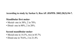 According to study by Sarkar S, Roa AP. JISPPD. 2002;20(3):94-7.
Mandibular first molar-
• Mesial- one in 30%, 2 in 70%.
• Distal- one in 80%, 2 in 20%.
Second mandibular molar-
• Mesial-one in 14.3%, two in 85.7%
• Distal-one in 78.6%, 2 in 21.4%
 