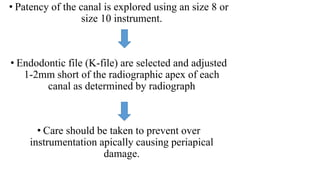 • Patency of the canal is explored using an size 8 or
size 10 instrument.
• Endodontic file (K-file) are selected and adjusted
1-2mm short of the radiographic apex of each
canal as determined by radiograph
• Care should be taken to prevent over
instrumentation apically causing periapical
damage.
 
