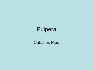 Pulpera Caballos Pipo 
