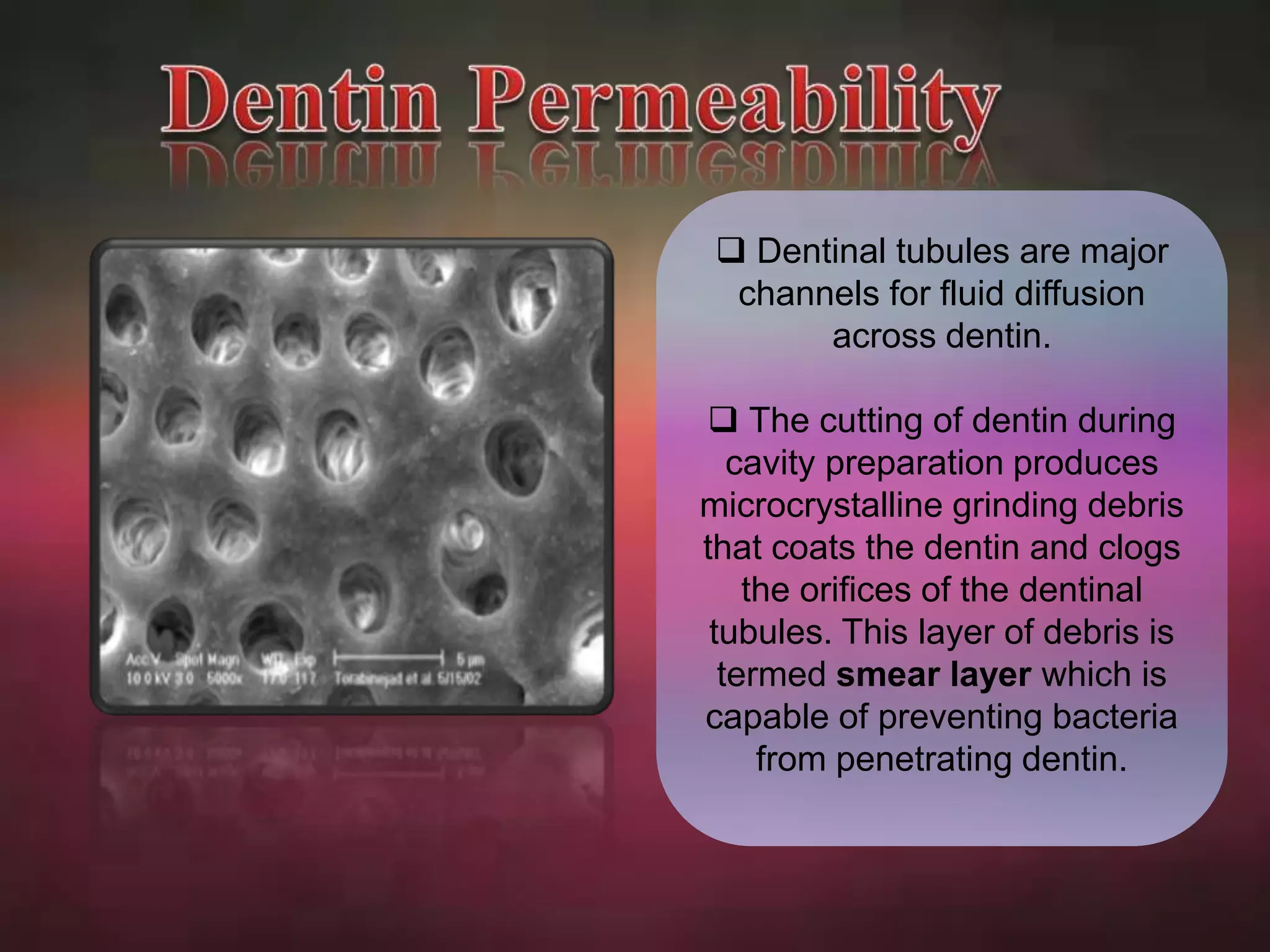  Dentinal tubules are major 
channels for fluid diffusion 
across dentin. 
 The cutting of dentin during 
cavity preparation produces 
microcrystalline grinding debris 
that coats the dentin and clogs 
the orifices of the dentinal 
tubules. This layer of debris is 
termed smear layer which is 
capable of preventing bacteria 
from penetrating dentin. 
 