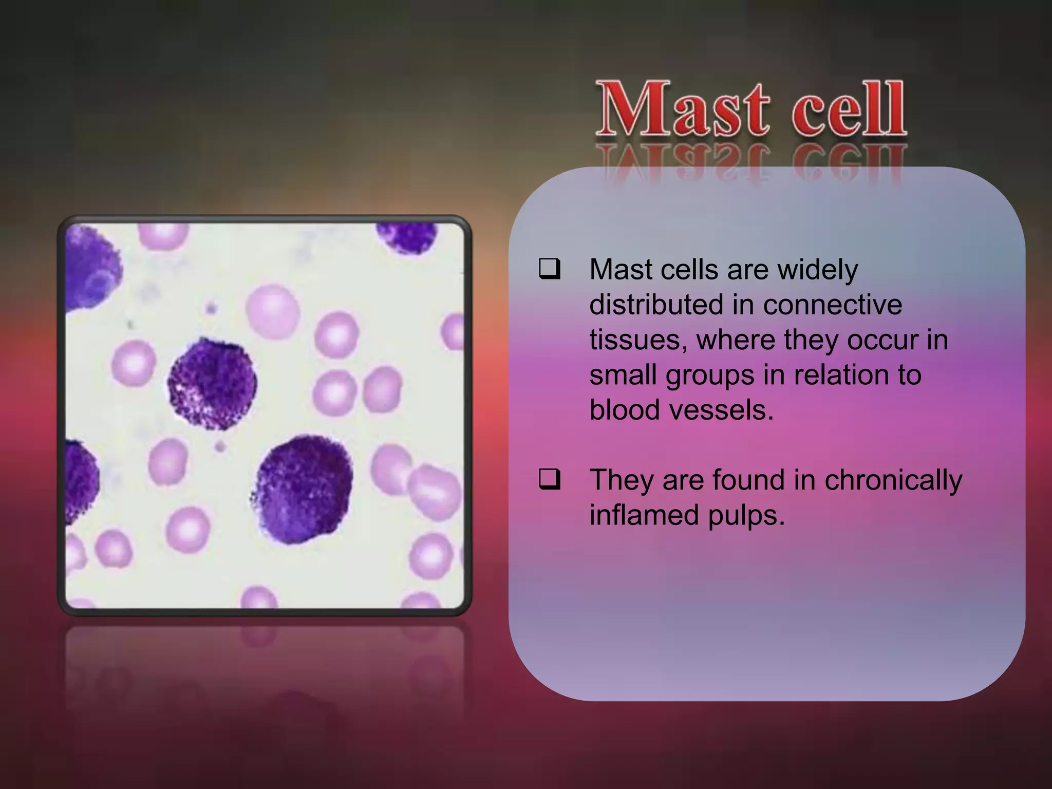  Mast cells are widely 
distributed in connective 
tissues, where they occur in 
small groups in relation to 
blood vessels. 
 They are found in chronically 
inflamed pulps. 
 