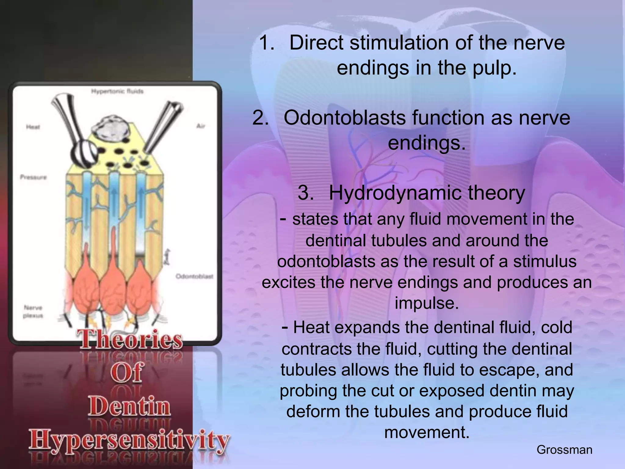 1. Direct stimulation of the nerve 
endings in the pulp. 
2. Odontoblasts function as nerve 
endings. 
3. Hydrodynamic theory 
- states that any fluid movement in the 
dentinal tubules and around the 
odontoblasts as the result of a stimulus 
excites the nerve endings and produces an 
impulse. 
- Heat expands the dentinal fluid, cold 
contracts the fluid, cutting the dentinal 
tubules allows the fluid to escape, and 
probing the cut or exposed dentin may 
deform the tubules and produce fluid 
movement. 
Grossman 
 