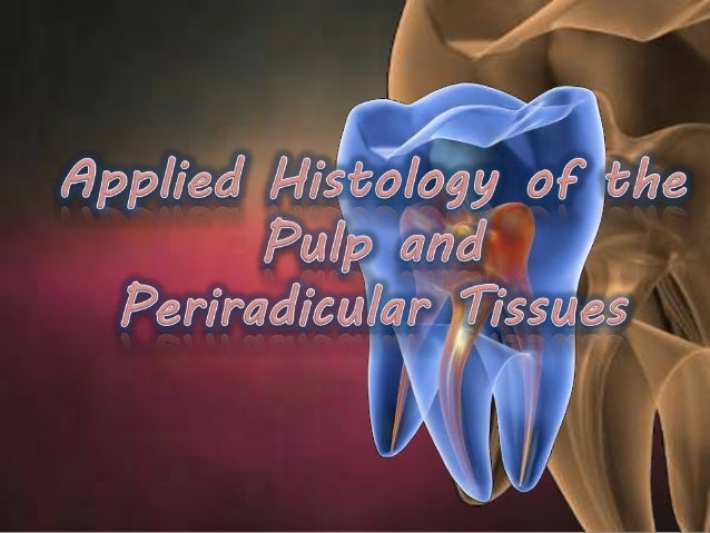 download cardiovascular pharmacotherapeutics