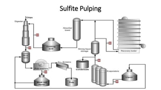 Sulfite Pulping
 