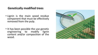 Genetically modified trees
• Lignin is the main wood residue
component that must be effectively
removed from the pulp.
• It has been possible the use genetic
engineering to modify lignin
content and/or composition of the
wood.
 