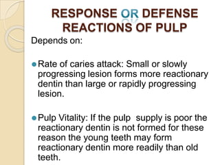 RESPONSE DEFENSE
REACTIONS OF PULP
Depends on:
⚫Rate of caries attack: Small or slowly
progressing lesion forms more reactionary
dentin than large or rapidly progressing
lesion.
⚫Pulp Vitality: If the pulp supply is poor the
reactionary dentin is not formed for these
reason the young teeth may form
reactionary dentin more readily than old
teeth.
 