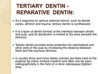TERTIARY DENTIN -
REPARATIVE DENTIN:
⚫ As a response to various external stimuli, such as dental
caries, attrition and trauma, tertiary dentin is synthesized.
⚫ It is a layer of dentin formed at the interface between dentin
and pulp, and its distribution is limited to the area beneath the
stimulus.
⚫ Tertiary dentin provides extra protection for odontoblast and
other cells of the pulp by increasing the distance between
them and the injurious stimulus.
⚫ Is usually shiny and more darkly colored, but feels hard to the
explorer tip (more mineral content) and often can be seen
radiographically in the form of a more radiopaque (lighter)
area.
 