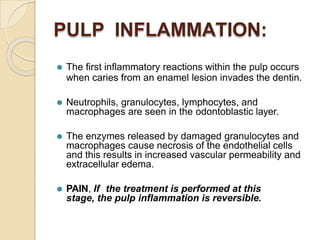 PULP INFLAMMATION:
⚫ The first inflammatory reactions within the pulp occurs
when caries from an enamel lesion invades the dentin.
⚫ Neutrophils, granulocytes, lymphocytes, and
macrophages are seen in the odontoblastic layer.
⚫ The enzymes released by damaged granulocytes and
macrophages cause necrosis of the endothelial cells
and this results in increased vascular permeability and
extracellular edema.
⚫ PAIN, If the treatment is performed at this
stage, the pulp inflammation is reversible.
 