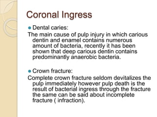 Coronal Ingress
⚫ Dental caries:
The main cause of pulp injury in which carious
dentin and enamel contains numerous
amount of bacteria, recently it has been
shown that deep carious dentin contains
predominantly anaerobic bacteria.
⚫ Crown fracture:
Complete crown fracture seldom devitalizes the
pulp immediately however pulp death is the
result of bacterial ingress through the fracture
the same can be said about incomplete
fracture ( infraction).
 