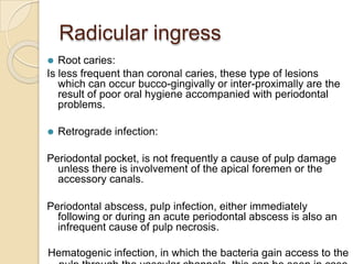 Radicular ingress
⚫ Root caries:
Is less frequent than coronal caries, these type of lesions
which can occur bucco-gingivally or inter-proximally are the
result of poor oral hygiene accompanied with periodontal
problems.
⚫ Retrograde infection:
Periodontal pocket, is not frequently a cause of pulp damage
unless there is involvement of the apical foremen or the
accessory canals.
Periodontal abscess, pulp infection, either immediately
following or during an acute periodontal abscess is also an
infrequent cause of pulp necrosis.
Hematogenic infection, in which the bacteria gain access to the
 