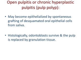 Open pulpitis or chronic hyperplastic
pulpitis (pulp polyp):
• May become epithelialized by spontaneous
grafting of desquamated oral epithelial cells
from saliva.
• Histologically, odontoblasts survive & the pulp
is replaced by granulation tissue.
 