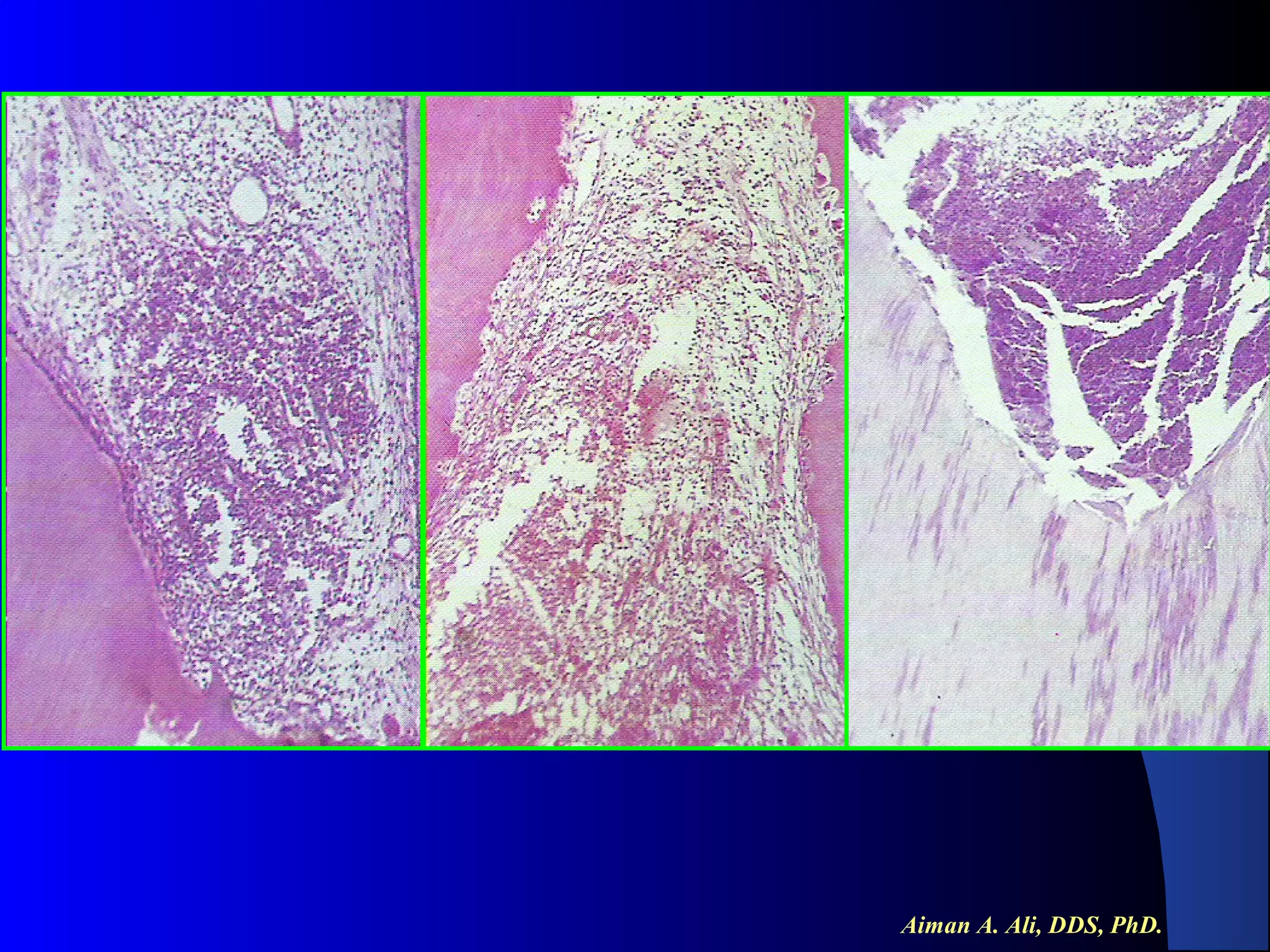 Aiman A. Ali, DDS, PhD.

 