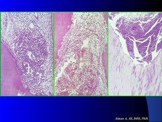 Aiman A. Ali, DDS, PhD.

 