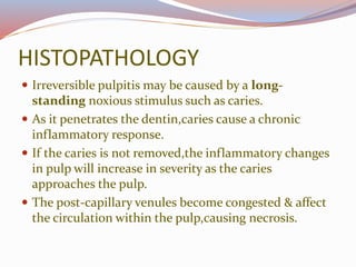 HISTOPATHOLOGY
 Irreversible pulpitis may be caused by a long-
standing noxious stimulus such as caries.
 As it penetrates the dentin,caries cause a chronic
inflammatory response.
 If the caries is not removed,the inflammatory changes
in pulp will increase in severity as the caries
approaches the pulp.
 The post-capillary venules become congested & affect
the circulation within the pulp,causing necrosis.
 