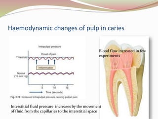Haemodynamic changes of pulp in caries
Blood flow increased in few
experiments
Interstitial fluid pressure increases by the movement
of fluid from the capillaries to the interstitial space
 