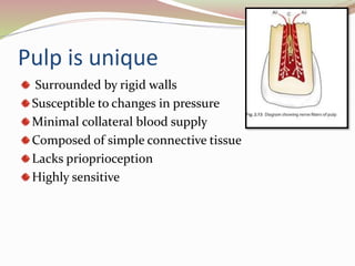 Pulp is unique
Surrounded by rigid walls
Susceptible to changes in pressure
Minimal collateral blood supply
Composed of simple connective tissue
Lacks prioprioception
Highly sensitive
 
