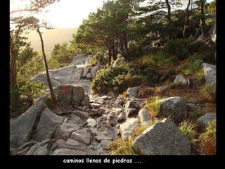 caminos llenos de piedras  ... 