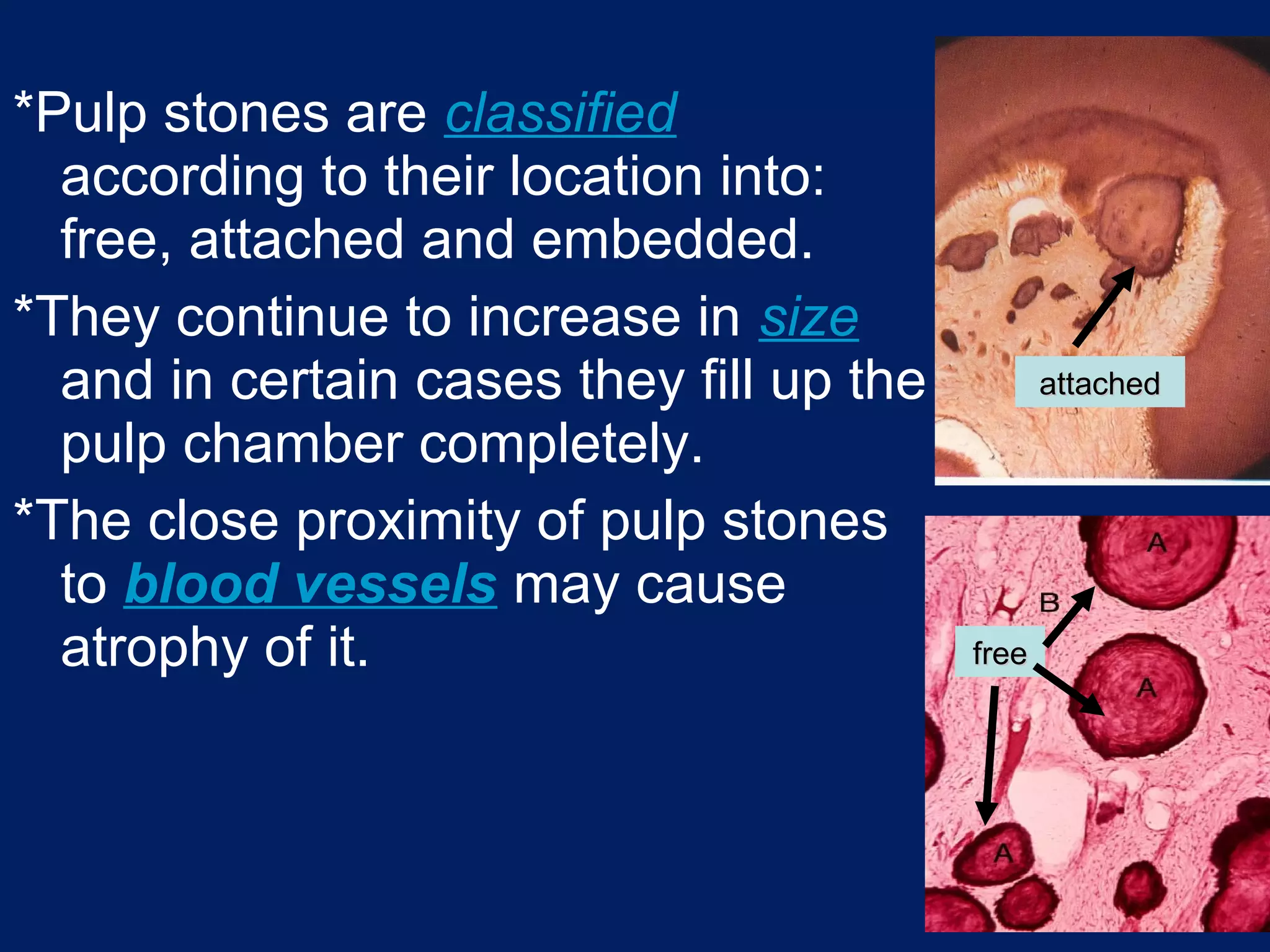 Dental Pulp | PPT