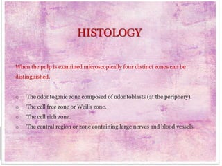 HISTOLOGY
When the pulp is examined microscopically four distinct zones can be
distinguished.

o

The odontogenic zone composed of odontoblasts (at the periphery).

o

The cell free zone or Weil’s zone.

o

The cell rich zone.

o

The central region or zone containing large nerves and blood vessels.

HISTOLOGY

 