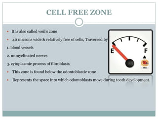 CELL FREE ZONE
 It is also called weil’s zone


40 microns wide & relatively free of cells, Traversed by

1. blood vessels
2. unmyelinated nerves
3. cytoplasmic process of fibroblasts


This zone is found below the odontoblastic zone



Represents the space into which odontoblasts move during tooth development.

 