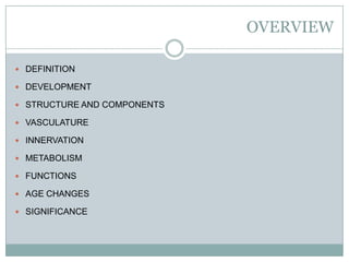 OVERVIEW
 DEFINITION
 DEVELOPMENT
 STRUCTURE AND COMPONENTS
 VASCULATURE
 INNERVATION
 METABOLISM
 FUNCTIONS
 AGE CHANGES

 SIGNIFICANCE

 