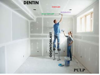 %

TERTIARY
REPARATIVE

REACTIONARY

PULP

 