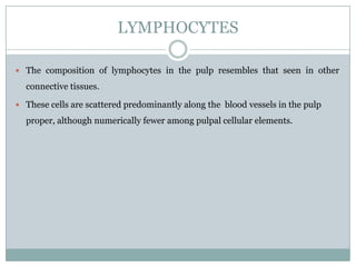 LYMPHOCYTES
 The composition of lymphocytes in the pulp resembles that seen in other

connective tissues.
 These cells are scattered predominantly along the blood vessels in the pulp

proper, although numerically fewer among pulpal cellular elements.

 
