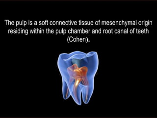 The pulp is a soft connective tissue of mesenchymal origin
residing within the pulp chamber and root canal of teeth
(Cohen).

 