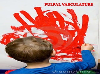 PULPAL VASCULATURE

 