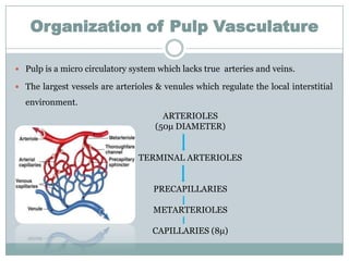 Organization of Pulp Vasculature
 Pulp is a micro circulatory system which lacks true arteries and veins.
 The largest vessels are arterioles & venules which regulate the local interstitial

environment.
ARTERIOLES
(50μ DIAMETER)
TERMINAL ARTERIOLES
PRECAPILLARIES
METARTERIOLES
CAPILLARIES (8μ)

 