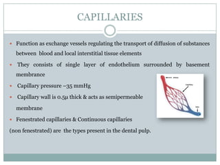 CAPILLARIES
 Function as exchange vessels regulating the transport of diffusion of substances

between blood and local interstitial tissue elements


They consists of single layer of endothelium surrounded by basement
membrance



Capillary pressure –35 mmHg



Capillary wall is 0.5μ thick & acts as semipermeable
membrane

 Fenestrated capillaries & Continuous capillaries

(non fenestrated) are the types present in the dental pulp.

 