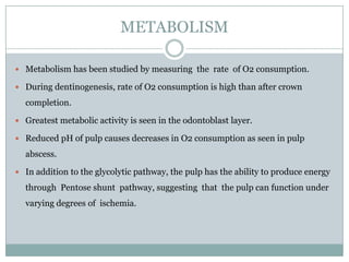 METABOLISM
 Metabolism has been studied by measuring the rate of O2 consumption.
 During dentinogenesis, rate of O2 consumption is high than after crown

completion.
 Greatest metabolic activity is seen in the odontoblast layer.
 Reduced pH of pulp causes decreases in O2 consumption as seen in pulp

abscess.
 In addition to the glycolytic pathway, the pulp has the ability to produce energy

through Pentose shunt pathway, suggesting that the pulp can function under
varying degrees of ischemia.

 